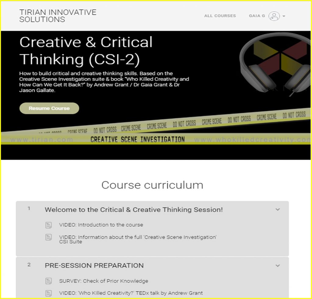 Creative Critical Thinking