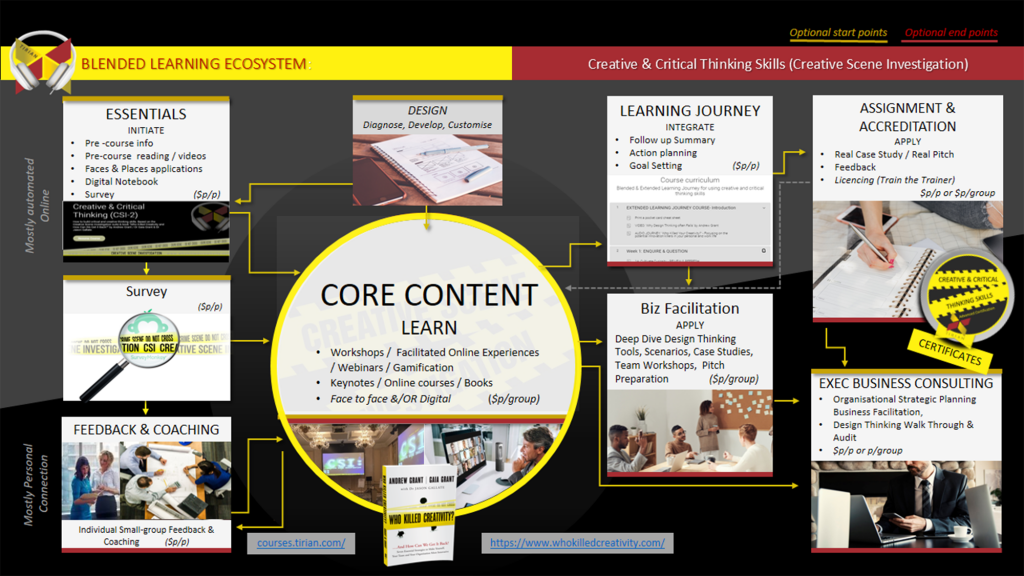 Digital Blended Learning & Facilitated ecosystem creative critical thinking skills